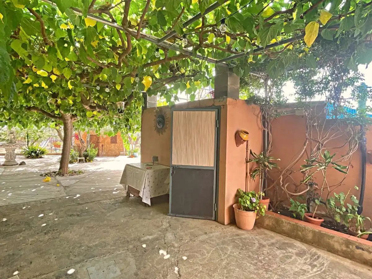 Jardí de Casa o xalet en venda en Xerta amb Terrassa