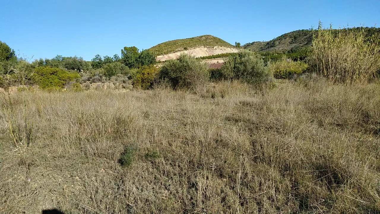 Finca rústica en venta en Bugarra