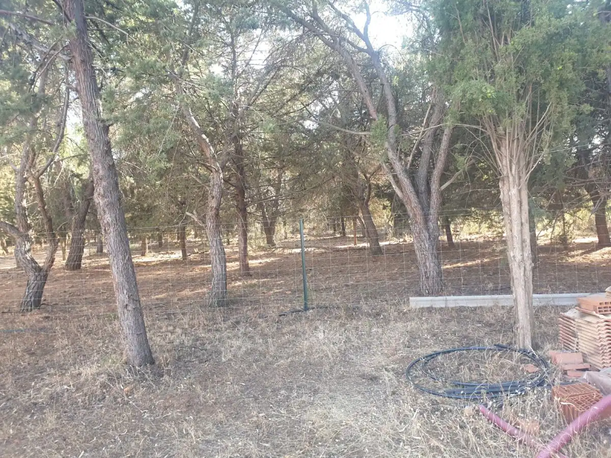 Finca rústica en venda a Área Rural-Valverde-Las Casas