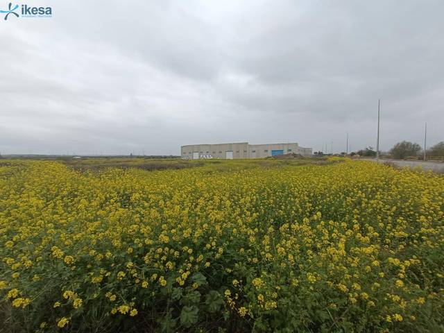 Terreno industrial en Venta en Cijuela