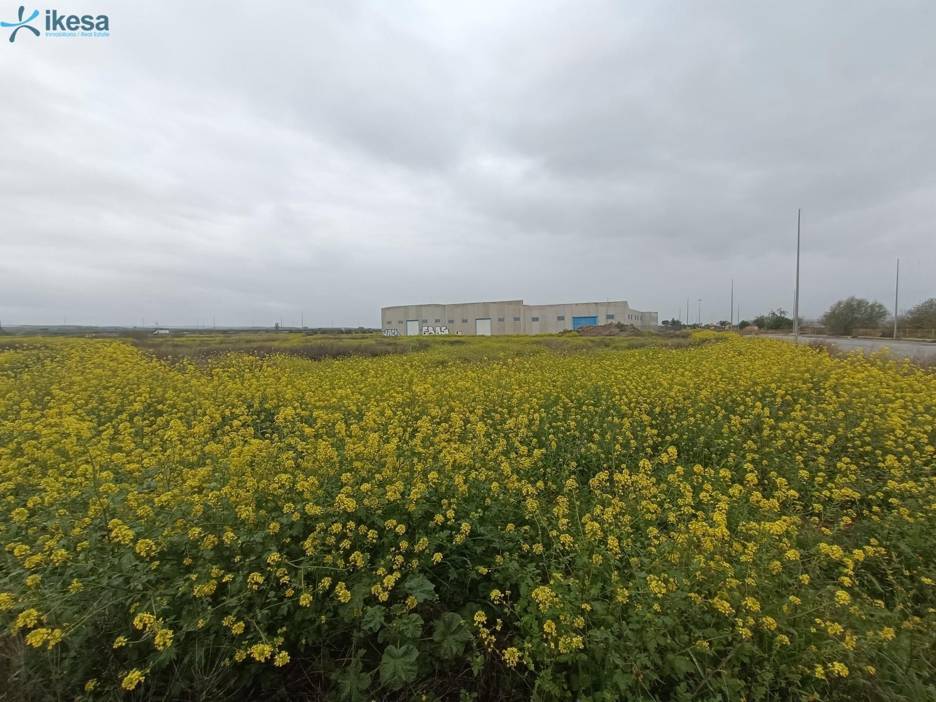 Terreny industrial en venda a Cijuela