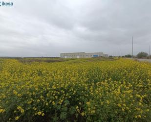 Exterior view of Industrial land for sale in Cijuela