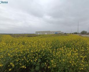 Vista exterior de Terreny industrial en venda en Cijuela