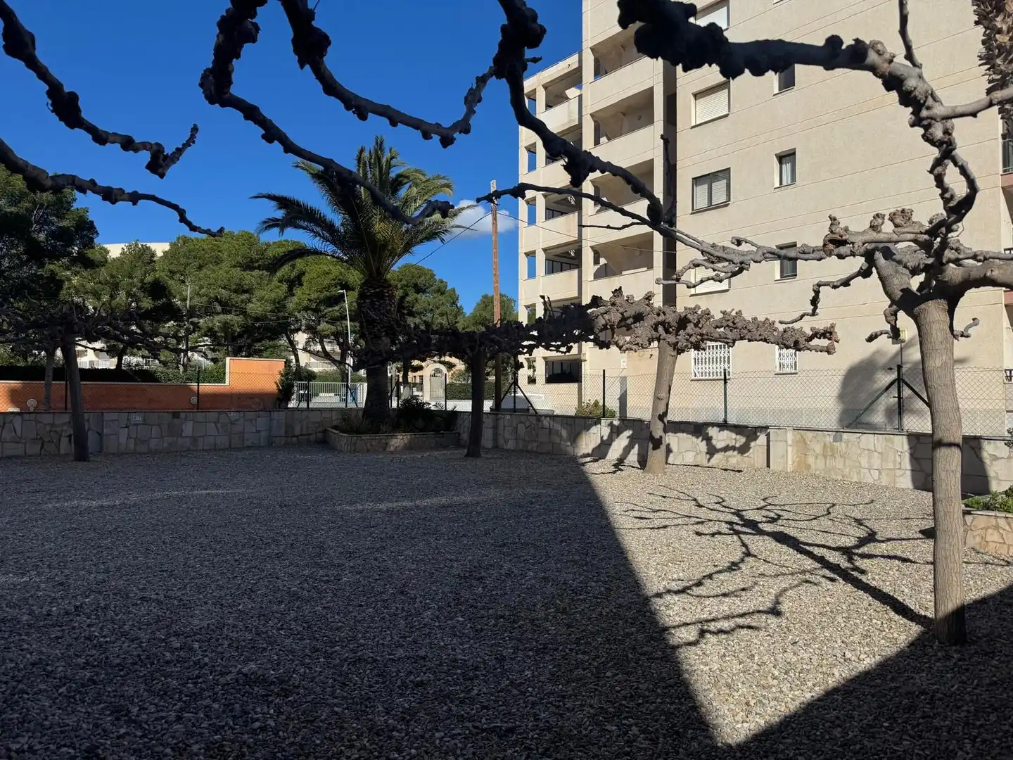 Local commercial à vendre à Avenida María Cristina, imagen 21