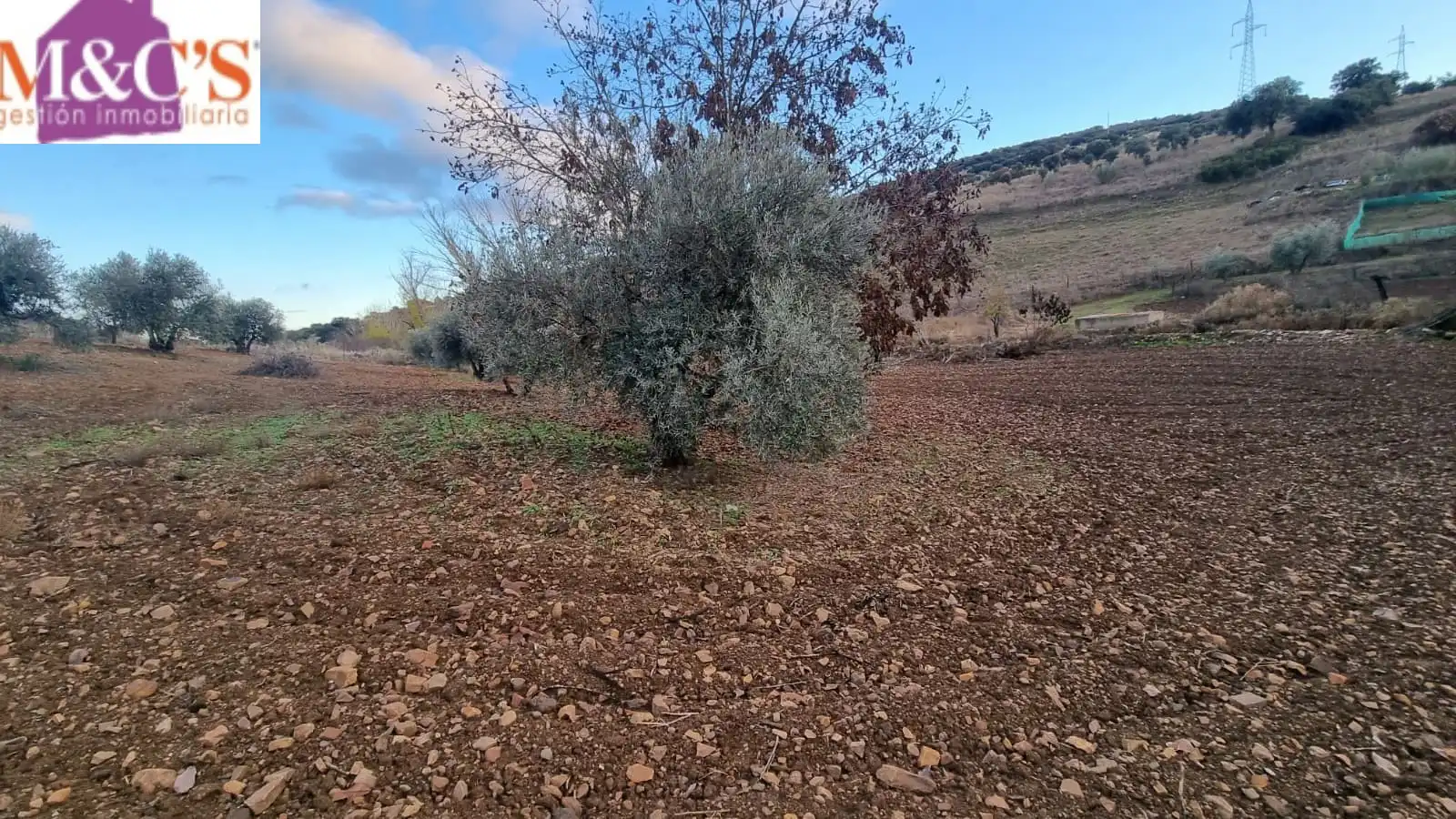 Rustikales Grundstück zum Verkauf in Carretera de Córdoba - Libertad, imagen 6