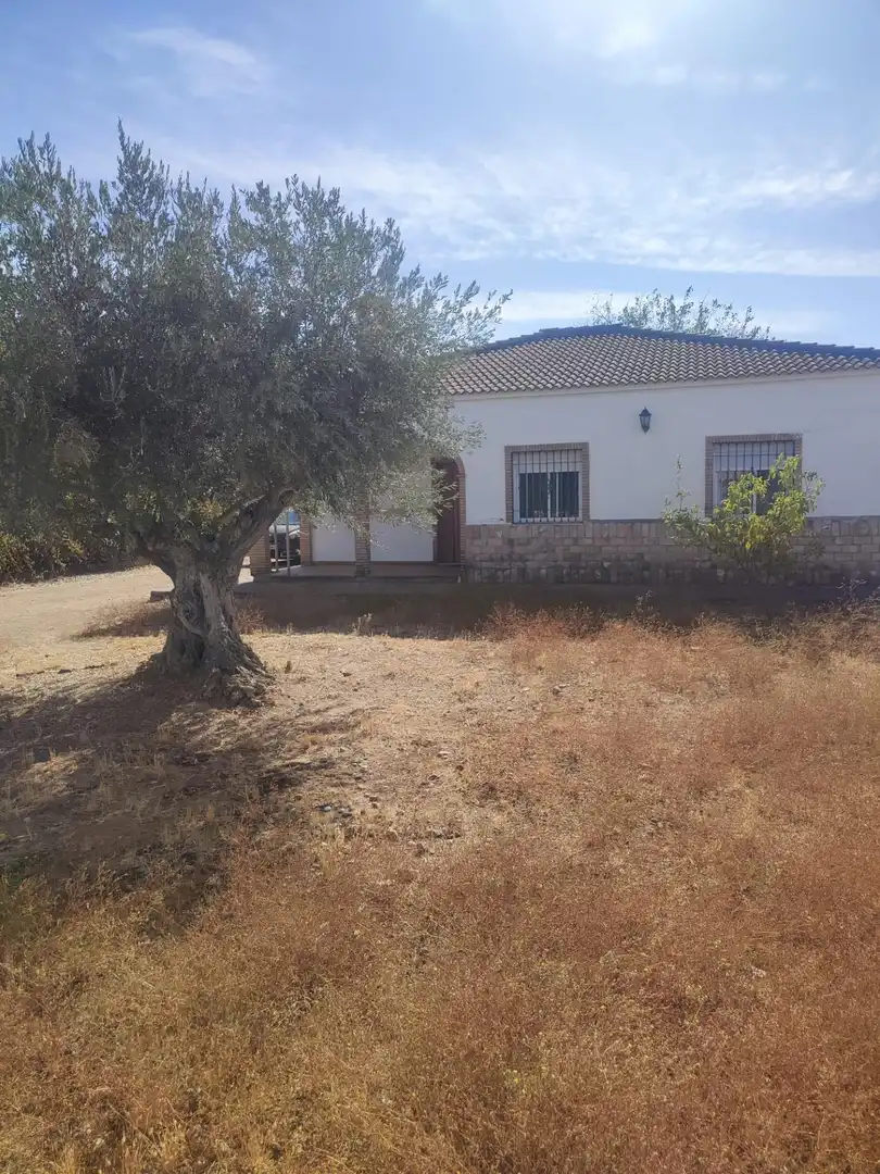Chalet con piscina en venta en La Carlota, imagen 19
