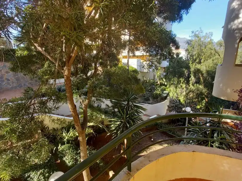 Pis amb jardí de lloguer a Calle el califa 16, imagen 9
