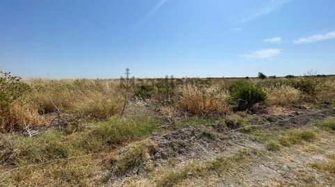 Foto 3 de Terreny en venda a Las Palmeras - Dehesilla, Sanlúcar de Barrameda