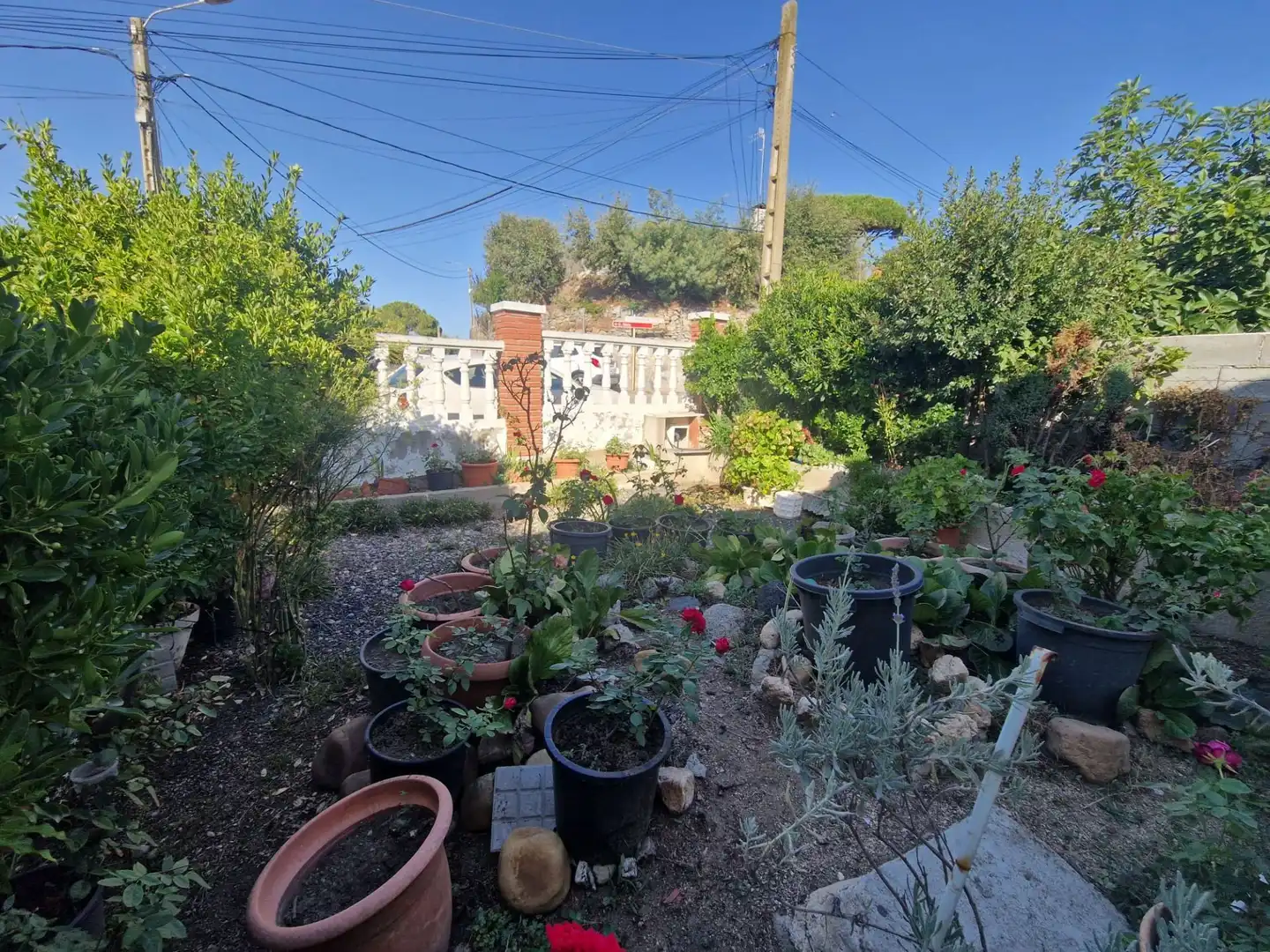 Maison à vendre à Can Massuet del Far, imagen 28