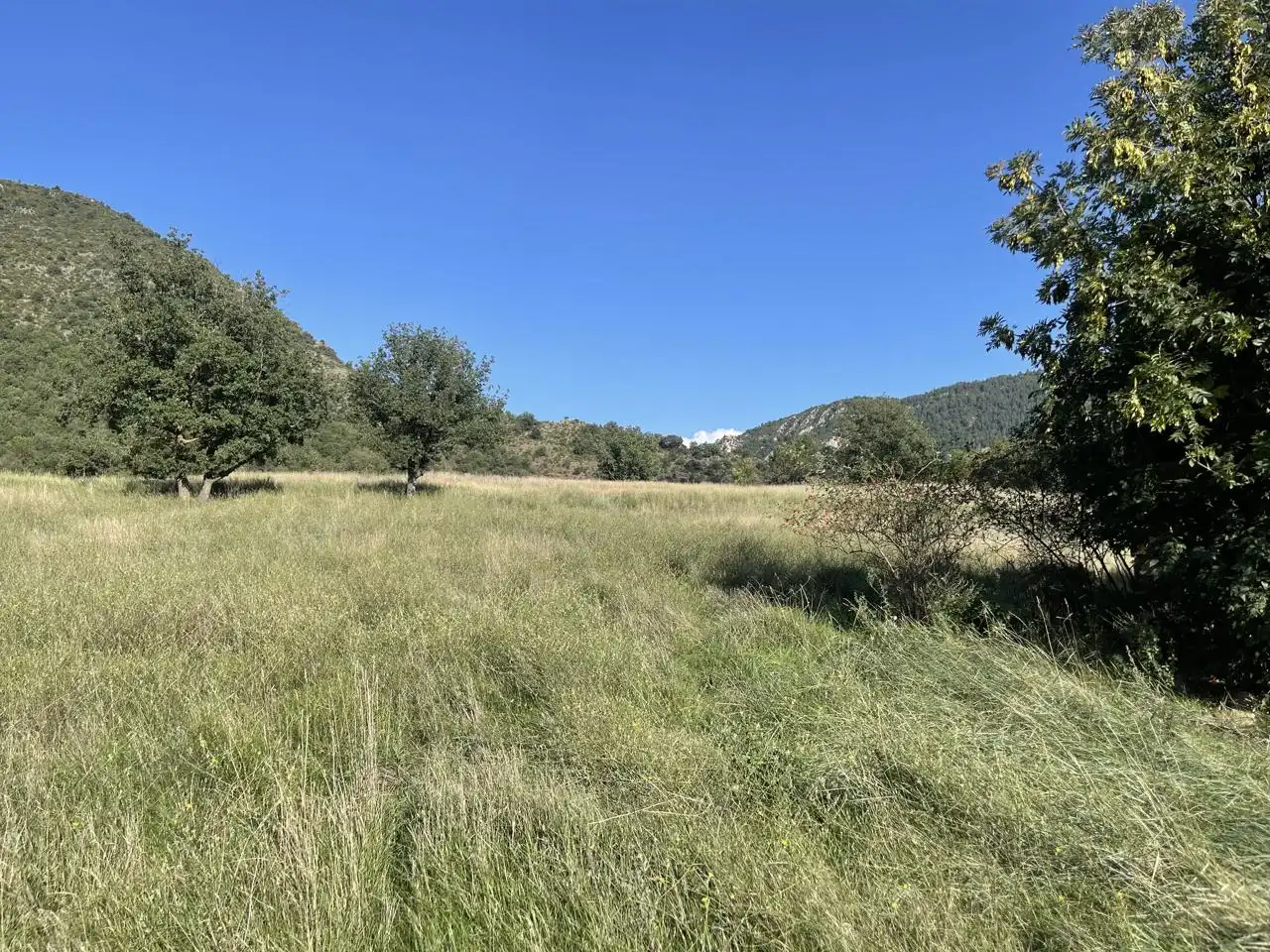 Land for sale in El Pont de Bar