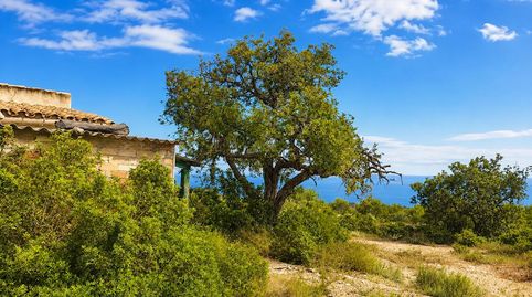 Photo 2 of Country homes for sale in Sant Joan, L'Ametlla de Mar pueblo, L'Ametlla de Mar