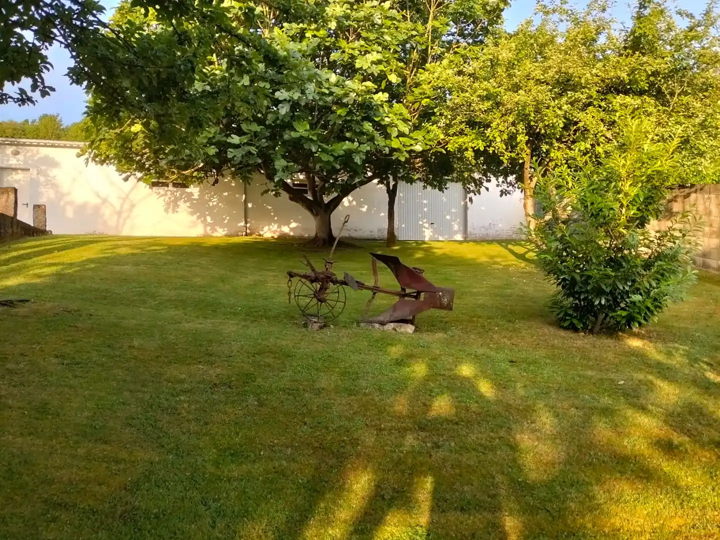 Garden of Commercial properties for sale in Salas
