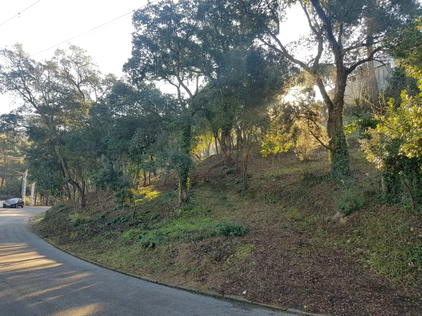 Terreno residencial en venta en Carrer del Pi Ric, imagen 8
