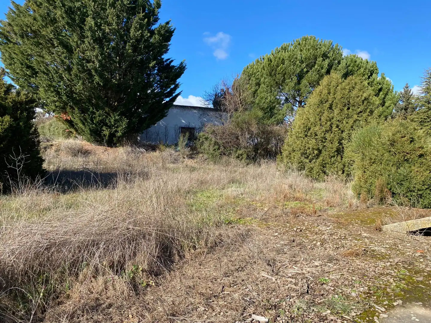 Houses for sale in Madrigalejo del Monte  with Private garden and Terrace