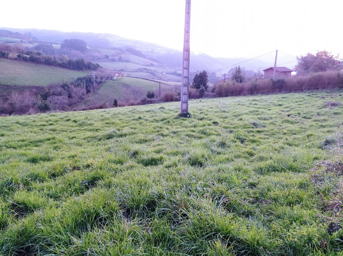 Casa o chalet en venta en Villaviciosa