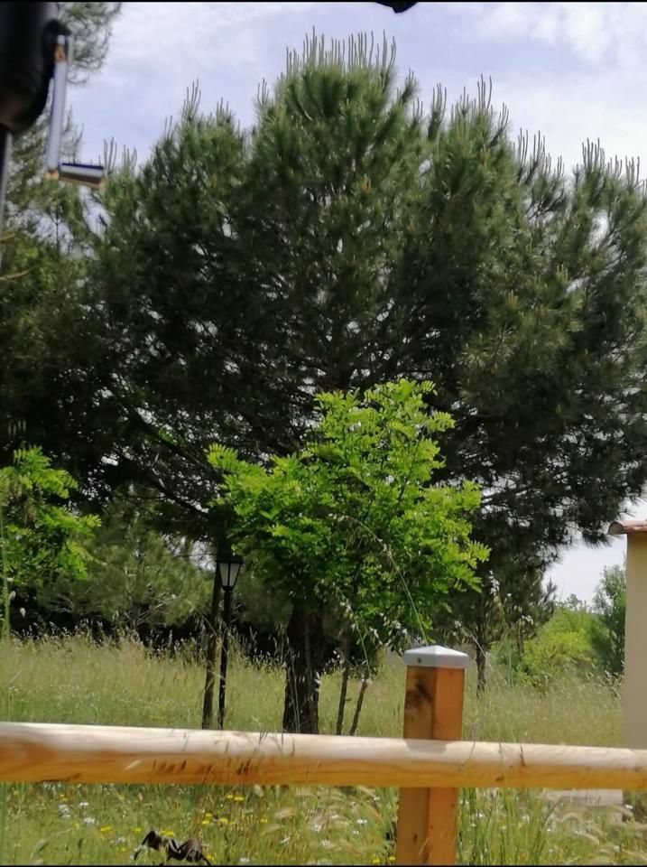House or chalet for sale in Del Fresno, Villar de Cañas
