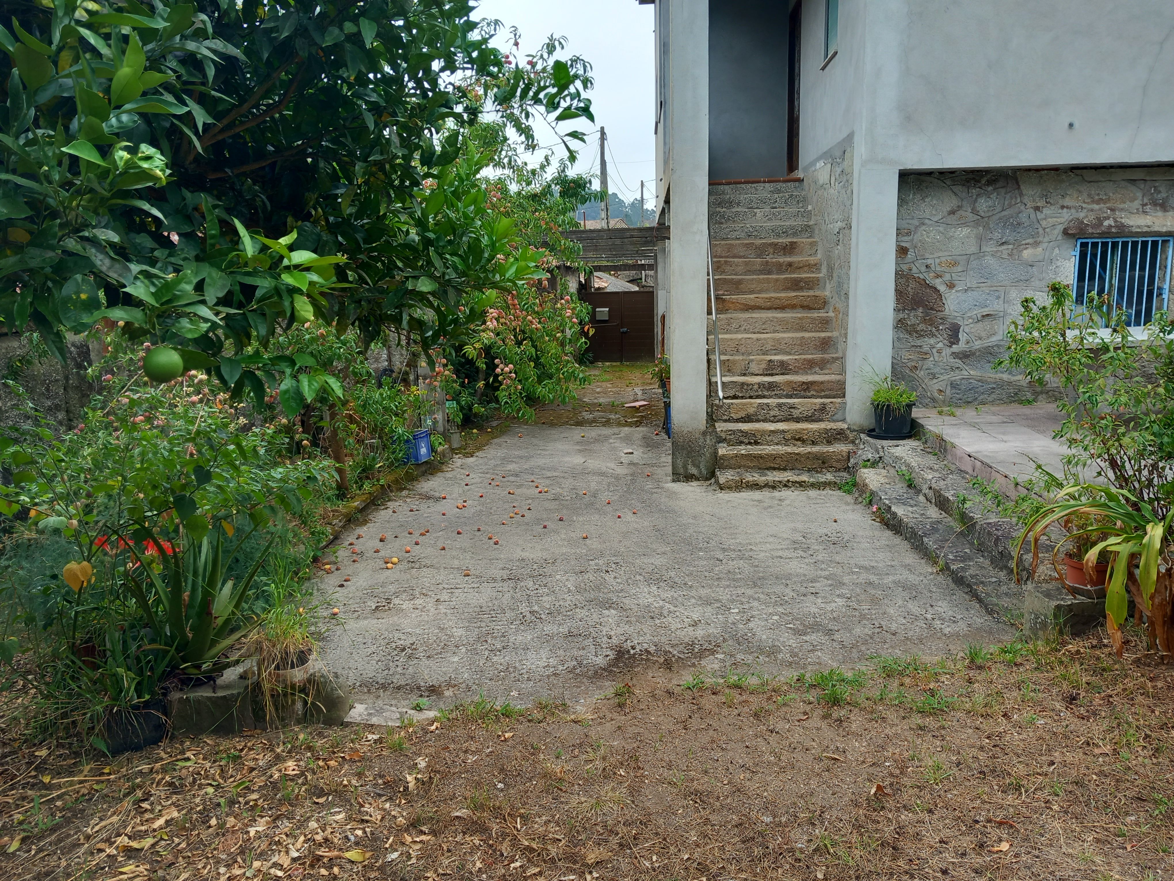 Jardí de Casa o xalet en venda en Meis