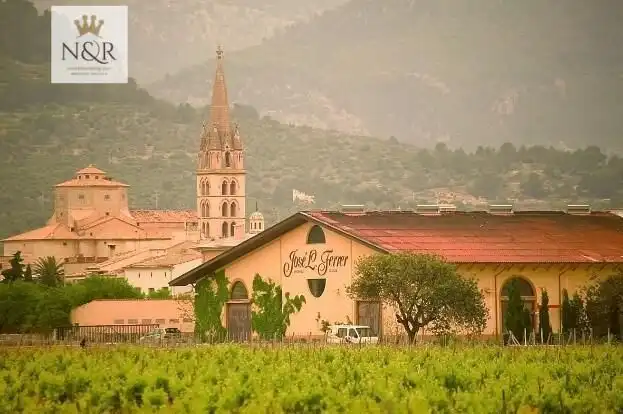 Vista exterior de Finca rústica en venda en Binissalem amb Jardí privat, Terrassa i Traster