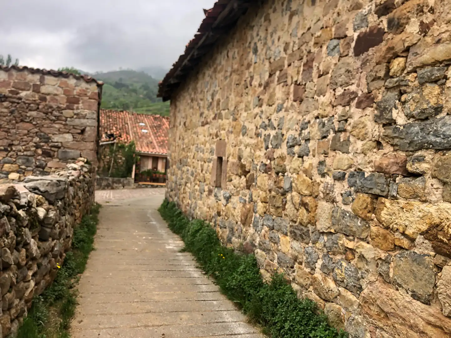 Exterior view of Buildings for sale in Lamasón