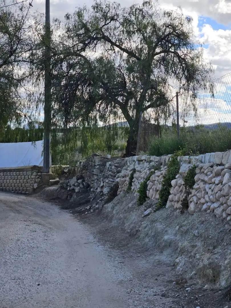 Vista exterior de Casa o xalet en venda en Monóvar  / Monòver amb Jardí privat