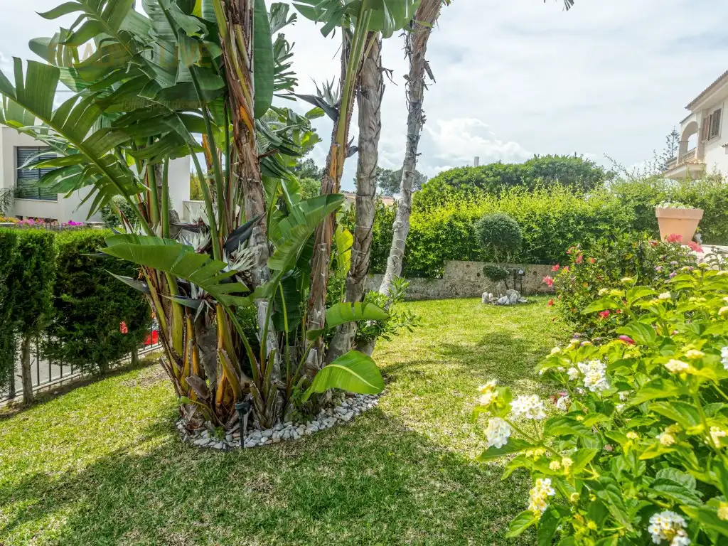 Garten von Einfamilien-Reihenhaus zum Verkauf in Alcúdia mit Klimaanlage, Privatgarten und Terrasse