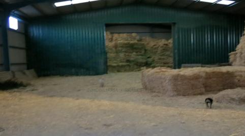 Foto 5 de Finca rústica en venta en Almogía, Málaga