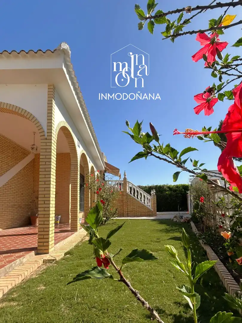 Vista exterior de Casa o xalet en venda en Almonte amb Jardí privat, Terrassa i Moblat
