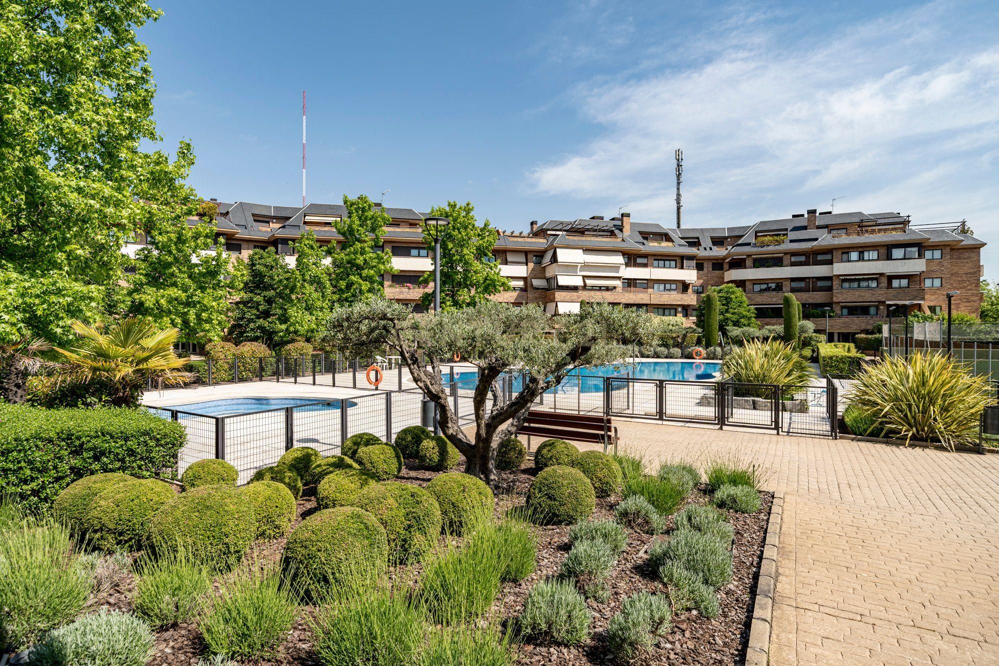 Piscina de Piso en venta en Majadahonda con Aire acondicionado, Jardín privado y Trastero