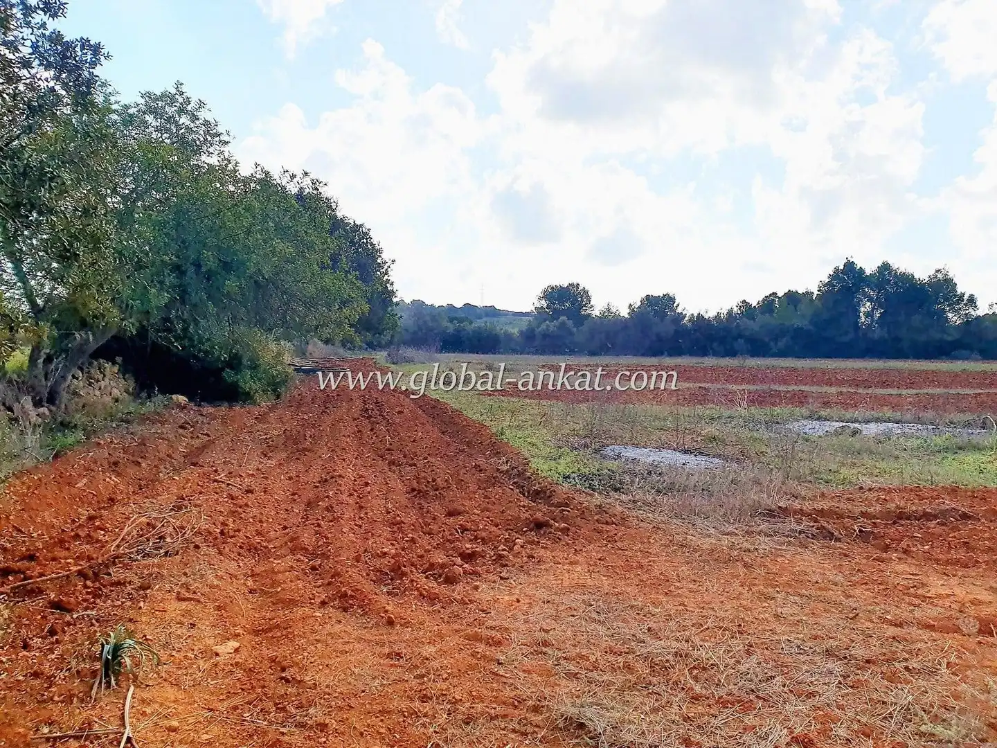 Residential land for sale in Zona Rústica - Interior, imagen 2