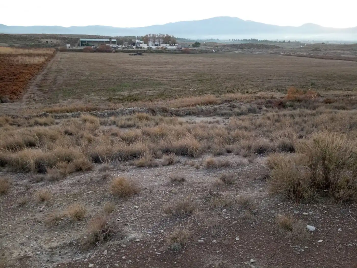 Local comercial en venda a Baza, imagen 5