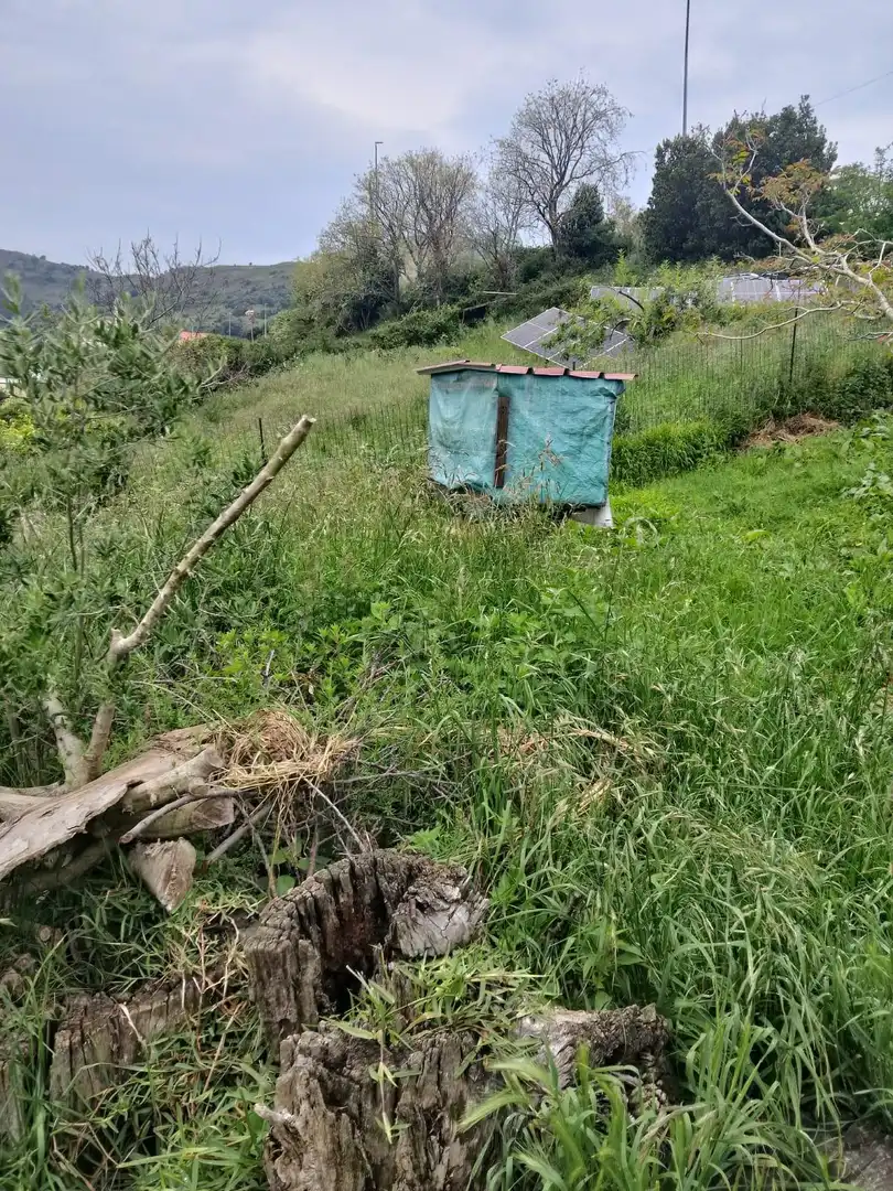 Houses for sale in Zierbena  with Heating, Terrace and Storage room