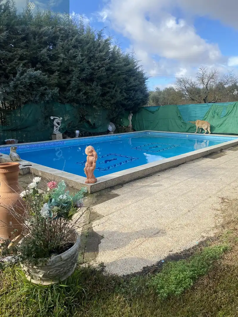 Swimming pool of Houses for sale in Mérida  with Air Conditioner and Swimming Pool