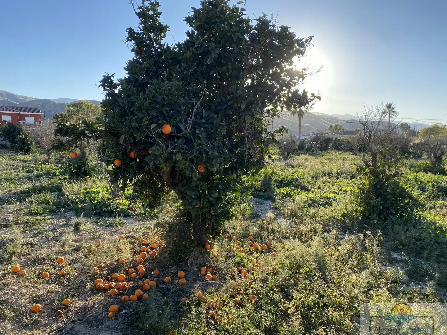 Terrenys i solars en venda a Albox, imagen 4