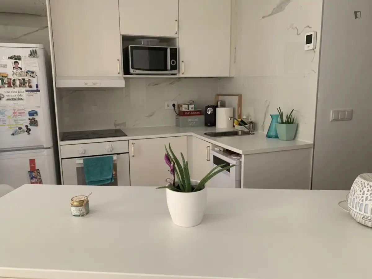 Cocina de Apartamento para compartir en Campoamor - Altozano