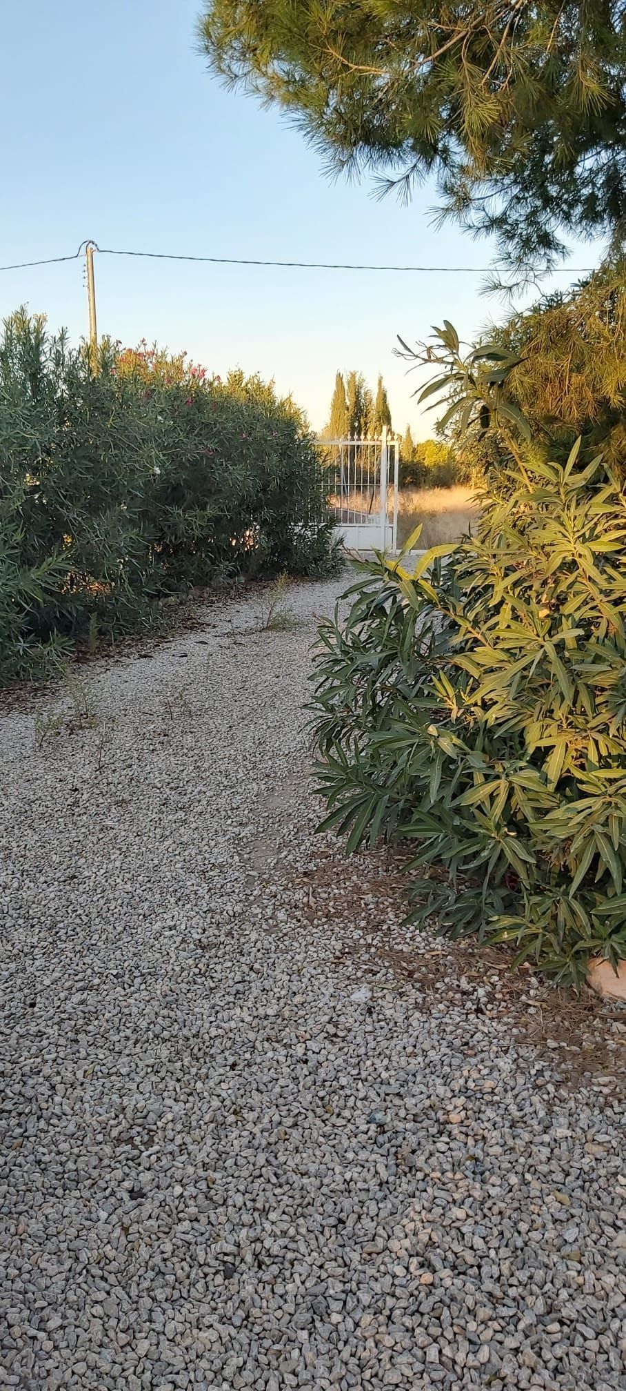 Finca rústica en venda en Librilla amb Jardí privat, Terrassa i Traster