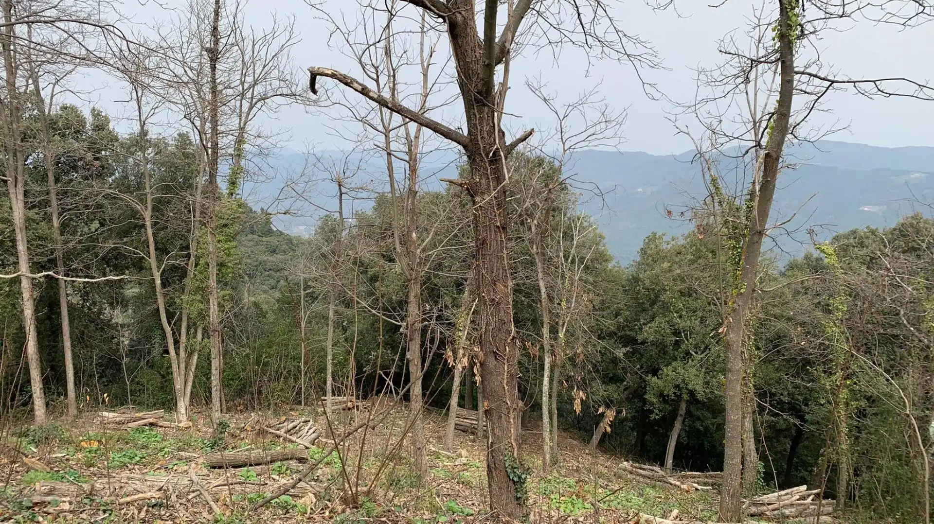 Residential land for sale in Turó de Monfort 60, imagen 9