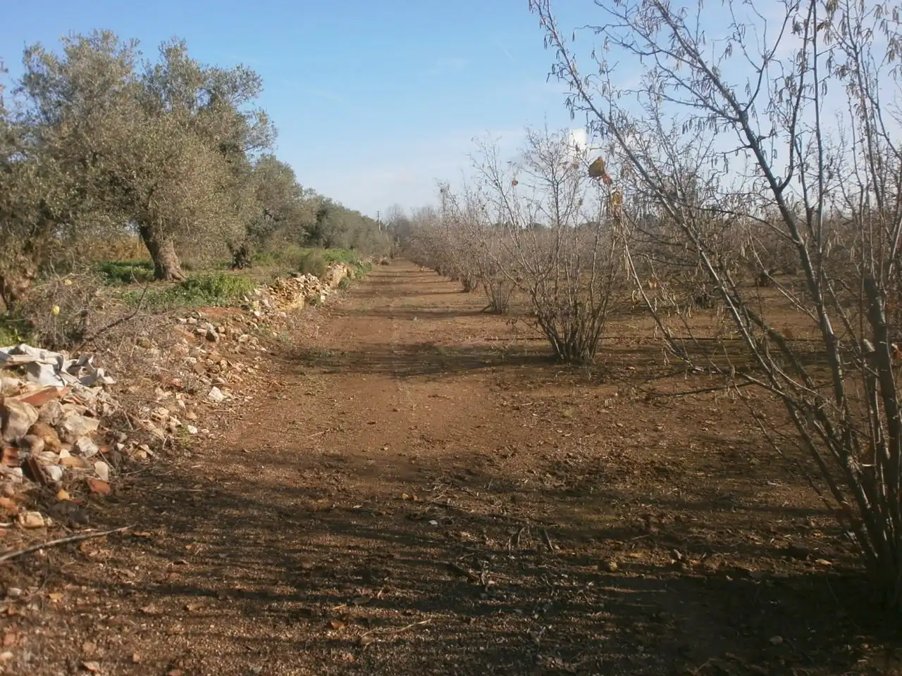 Rural land for sale in Mestral, imagen 5