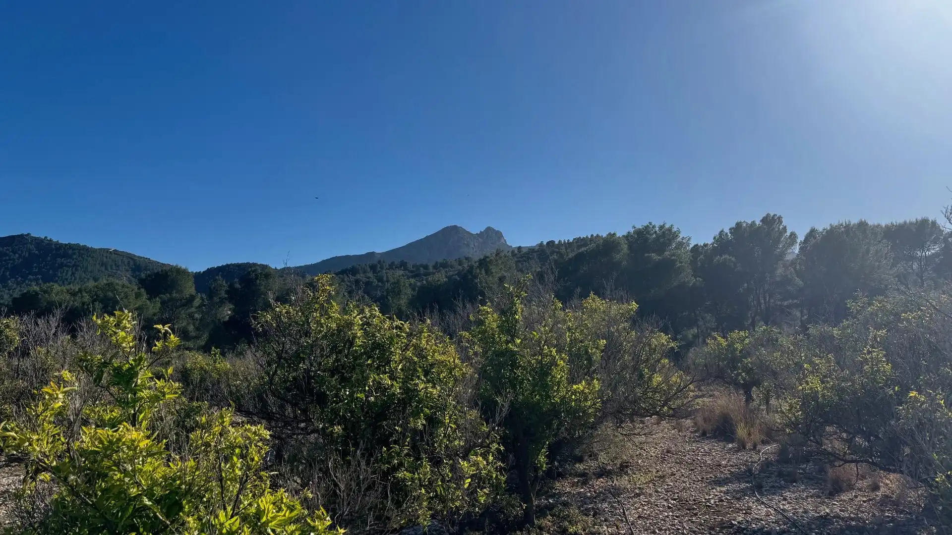 Terrenys i solars en venda a Orba, imagen 8