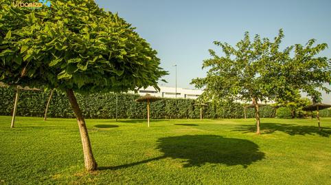 Photo 3 of Flat to rent in Avenida de la Independencia, Golf Guadiana, Badajoz