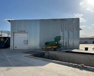 Exterior view of Industrial buildings to rent in Totana