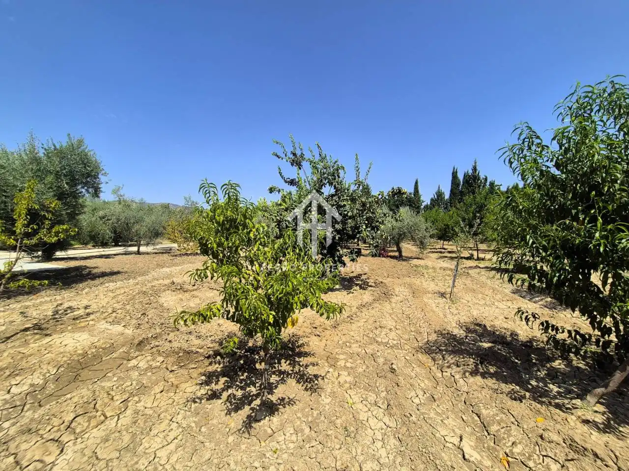 Residential land for sale in Avenida Doctor Rodríguez de la Fuente, imagen 15