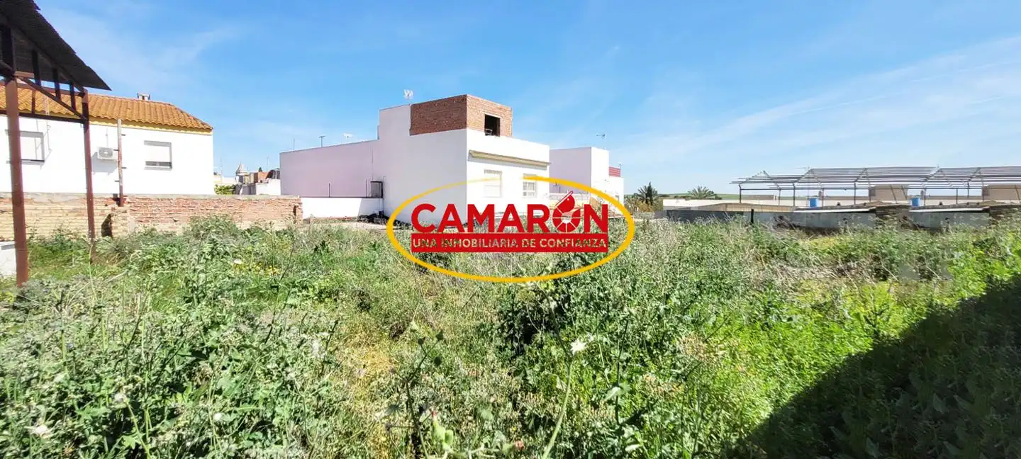 Lands and plots for sale in Palomares del Río, imagen 3