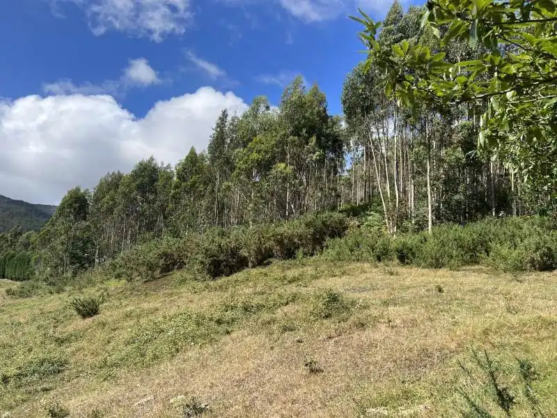 Finca rústica en venda en Llanera
