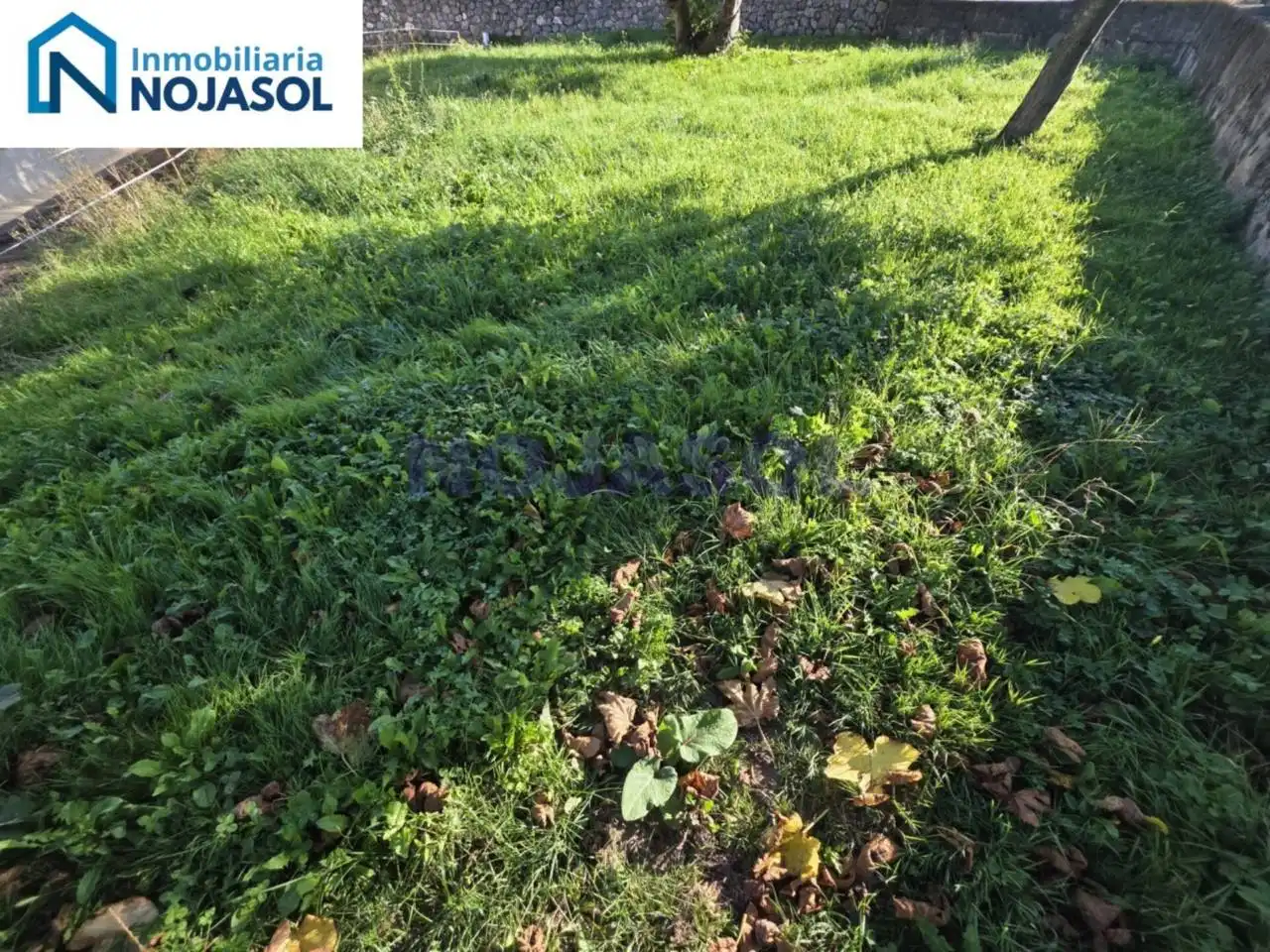Casa amb jardí en venda a Calle Soano Riegos, imagen 9