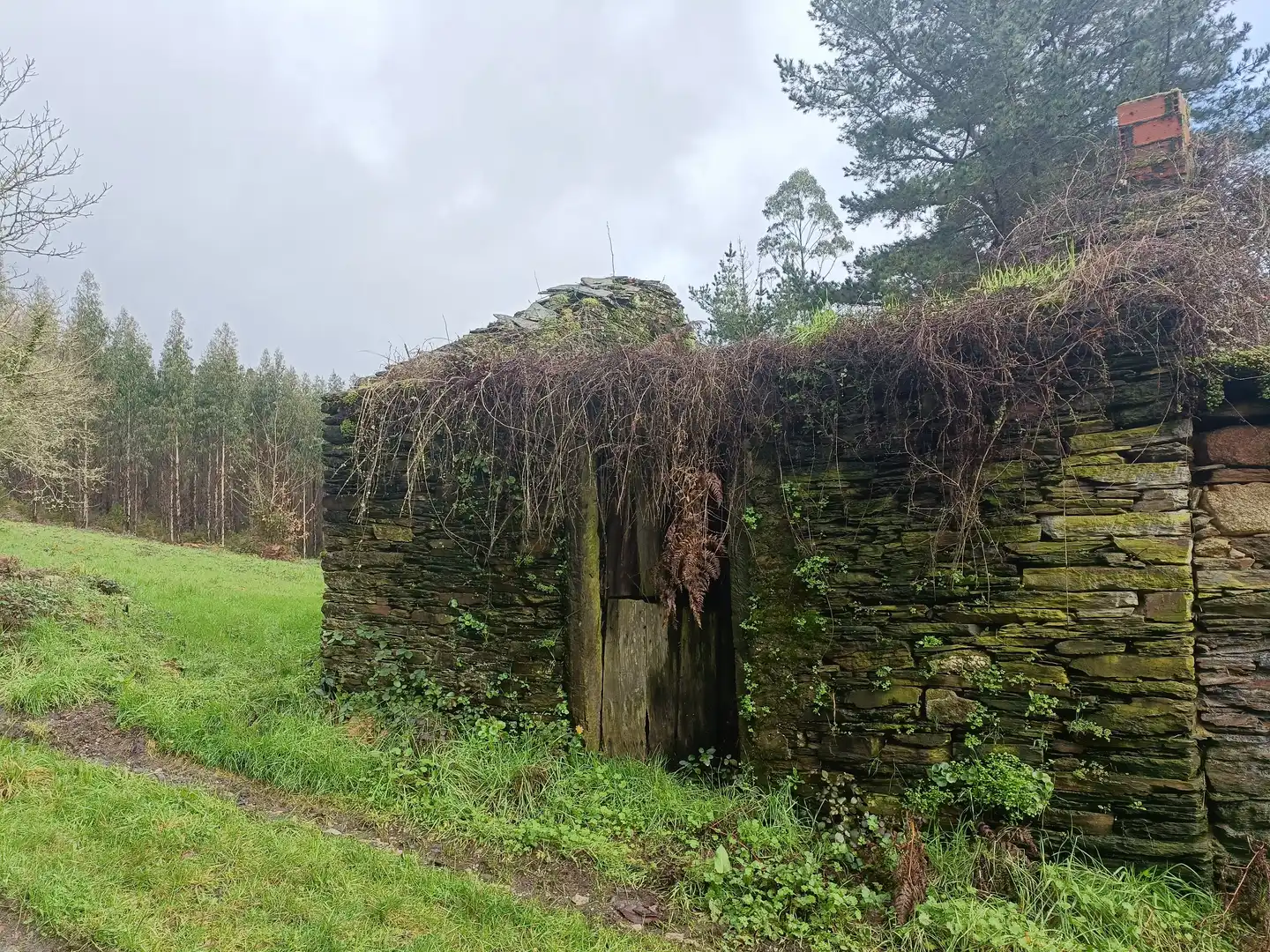 Vista exterior de Casa o xalet en venda en Guitiriz amb Jardí privat