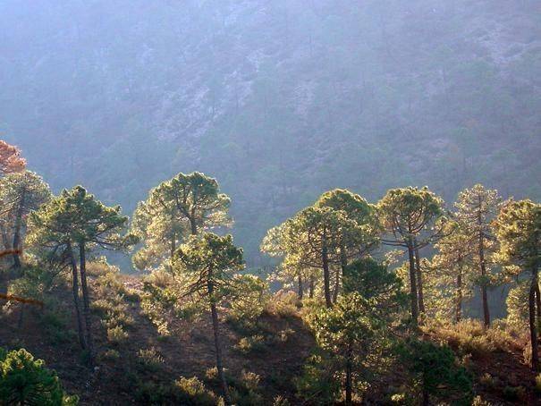 Casa-chalet en Venta en Benatae