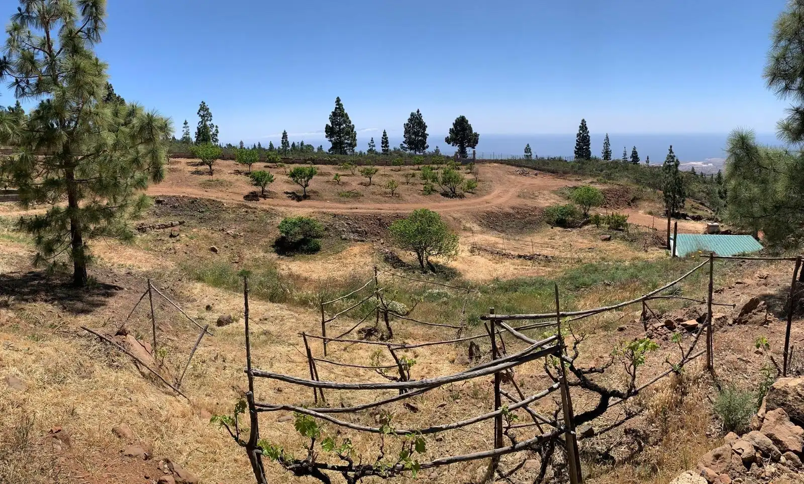 Finca rústica en venda en Granadilla de Abona