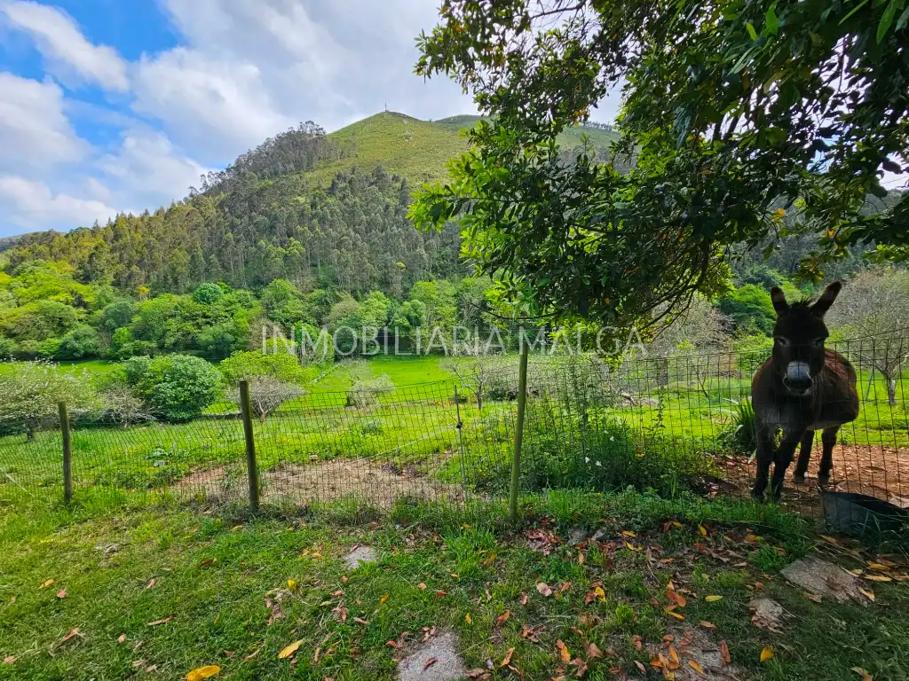 Residential for sale in Caravia