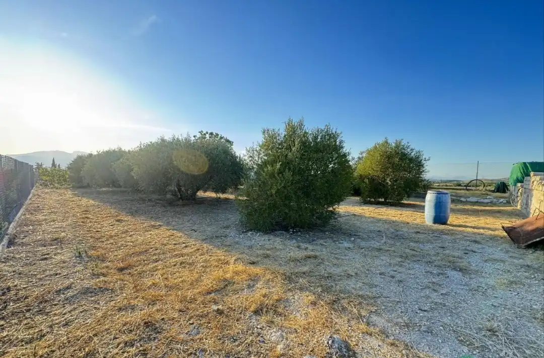 Casa rústica amb piscina en venda a Alhama de Murcia ciudad, imagen 33
