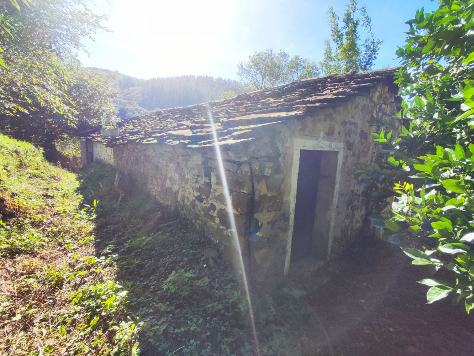 Vista exterior de Casa o chalet en venta en Selaya con Jardín privado